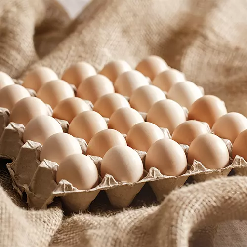 Plaquette de 30 œufs